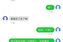 塔城塔城的要账公司在催收过程中的策略和技巧有哪些？